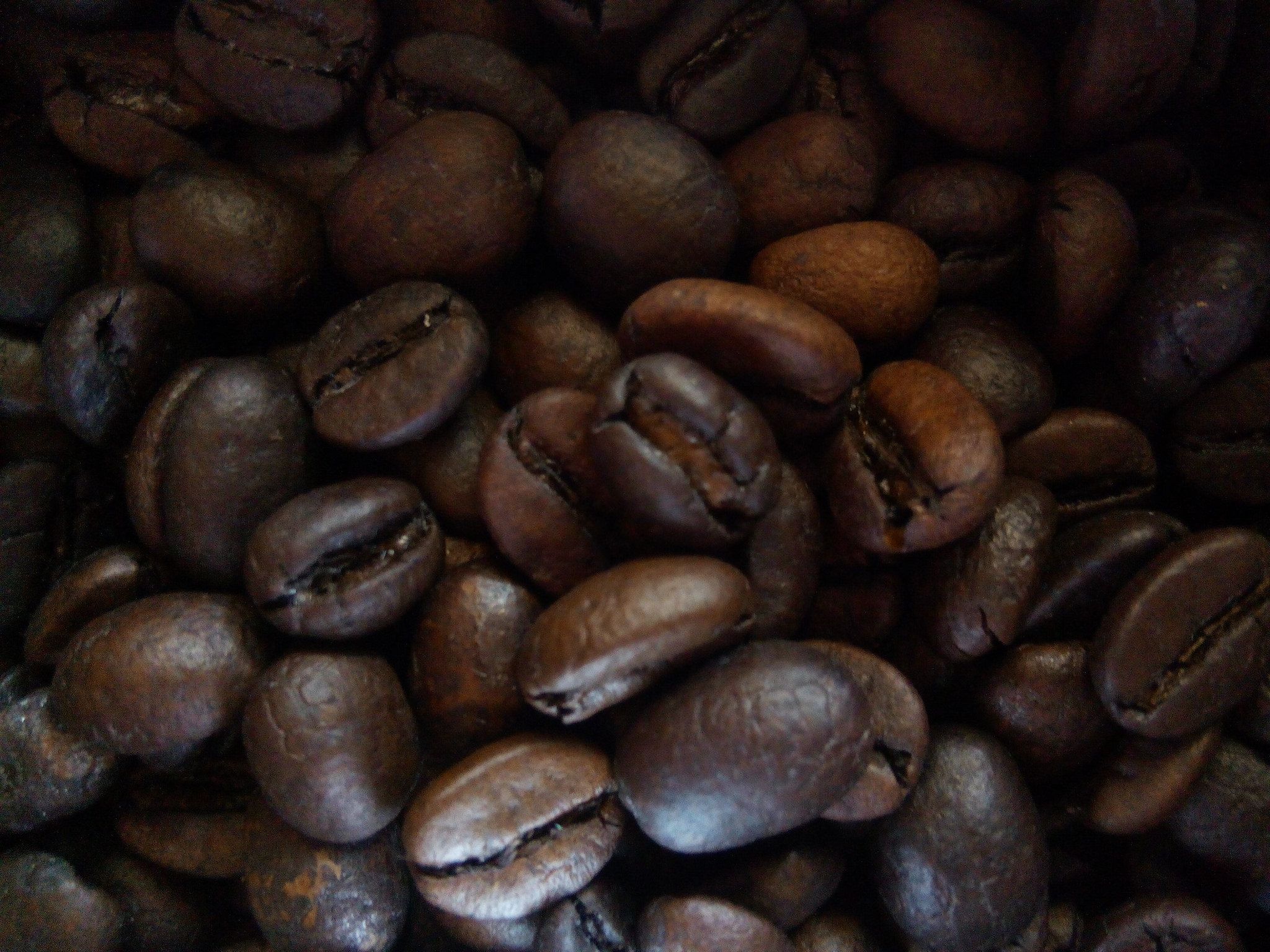 https://mdw-travel-data-us-east-1.s3.amazonaws.com/img/country/Cambodia/Mondulkiri-Coffee-Plantations/img_02.jpg