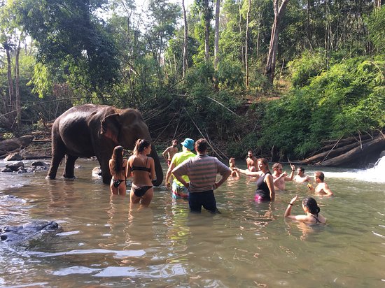 https://mdw-travel-data-us-east-1.s3.amazonaws.com/img/country/Cambodia/Mondulkiri-Project-20/img_01.jpg