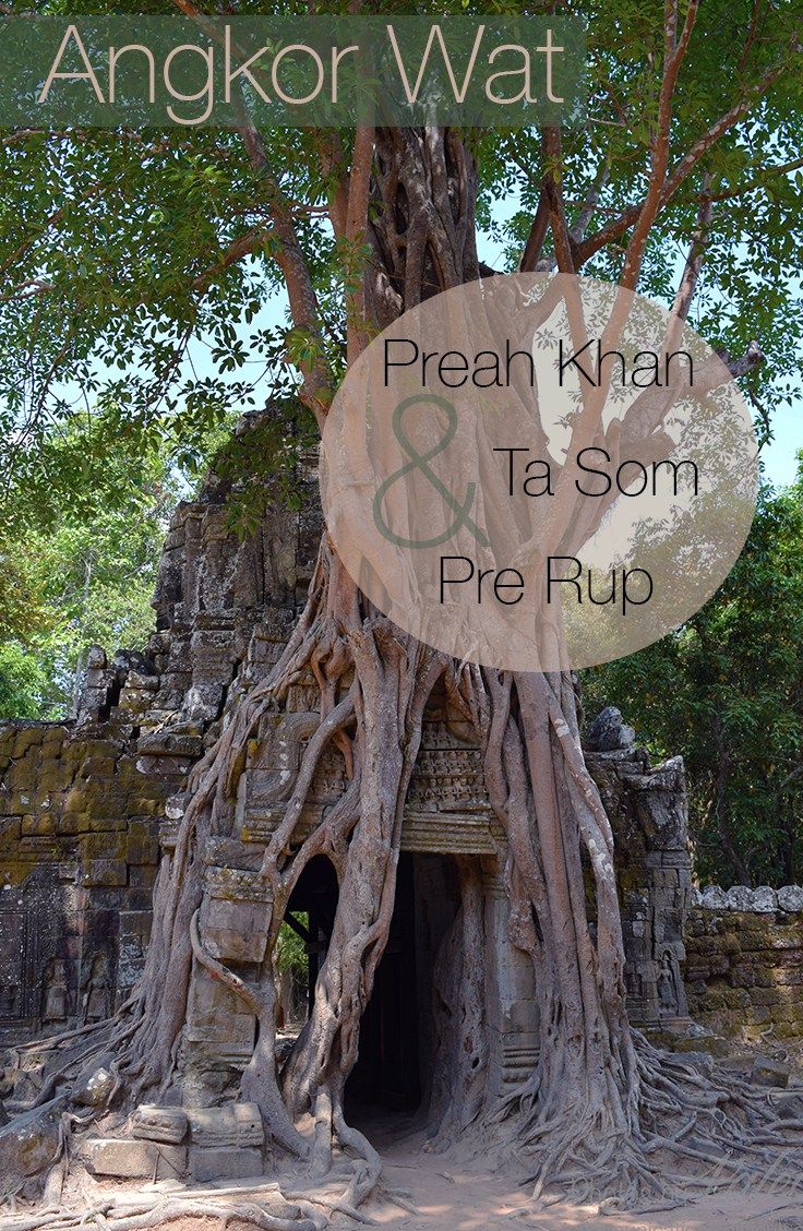 https://mdw-travel-data-us-east-1.s3.amazonaws.com/img/country/Cambodia/Norng-Kabat-Forest/img_01.jpg