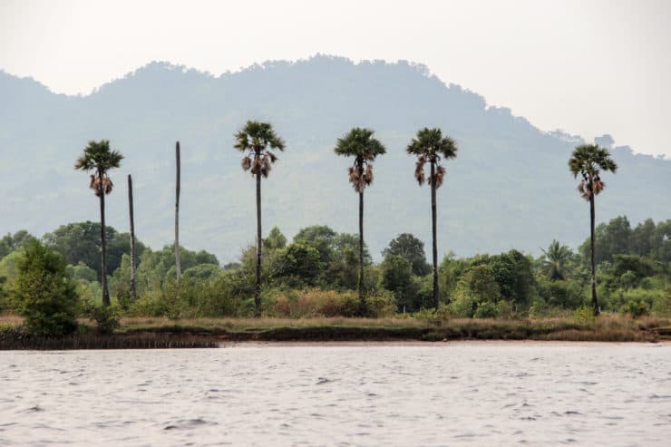 https://mdw-travel-data-us-east-1.s3.amazonaws.com/img/country/Cambodia/Norng-Kabat-Forest/img_05.jpg