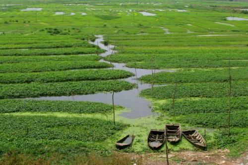 https://mdw-travel-data-us-east-1.s3.amazonaws.com/img/country/Cambodia/Organic-Gardens-&-Farm/img_05.jpg