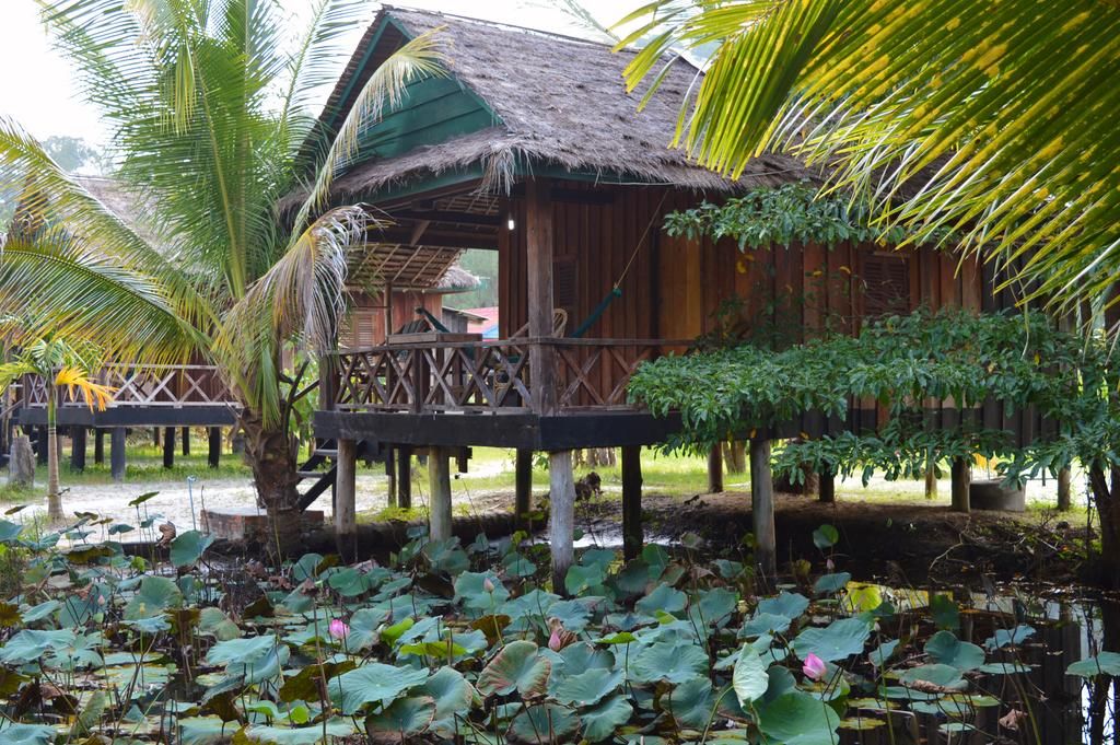 https://mdw-travel-data-us-east-1.s3.amazonaws.com/img/country/Cambodia/Palm-Beach-Bungalow/img_01.jpg
