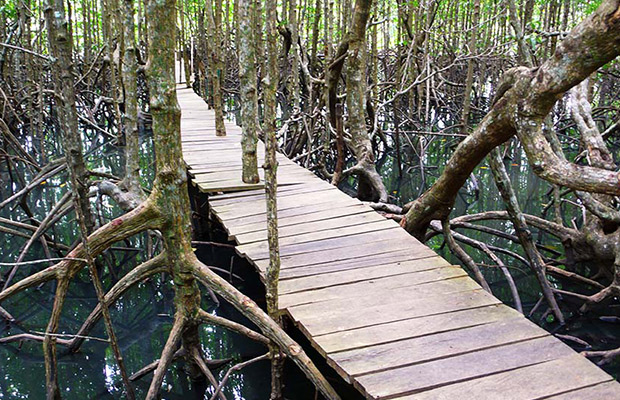 https://mdw-travel-data-us-east-1.s3.amazonaws.com/img/country/Cambodia/Peam-Krasop-Wildlife-Sanctuary-Headquarters/img_02.jpg