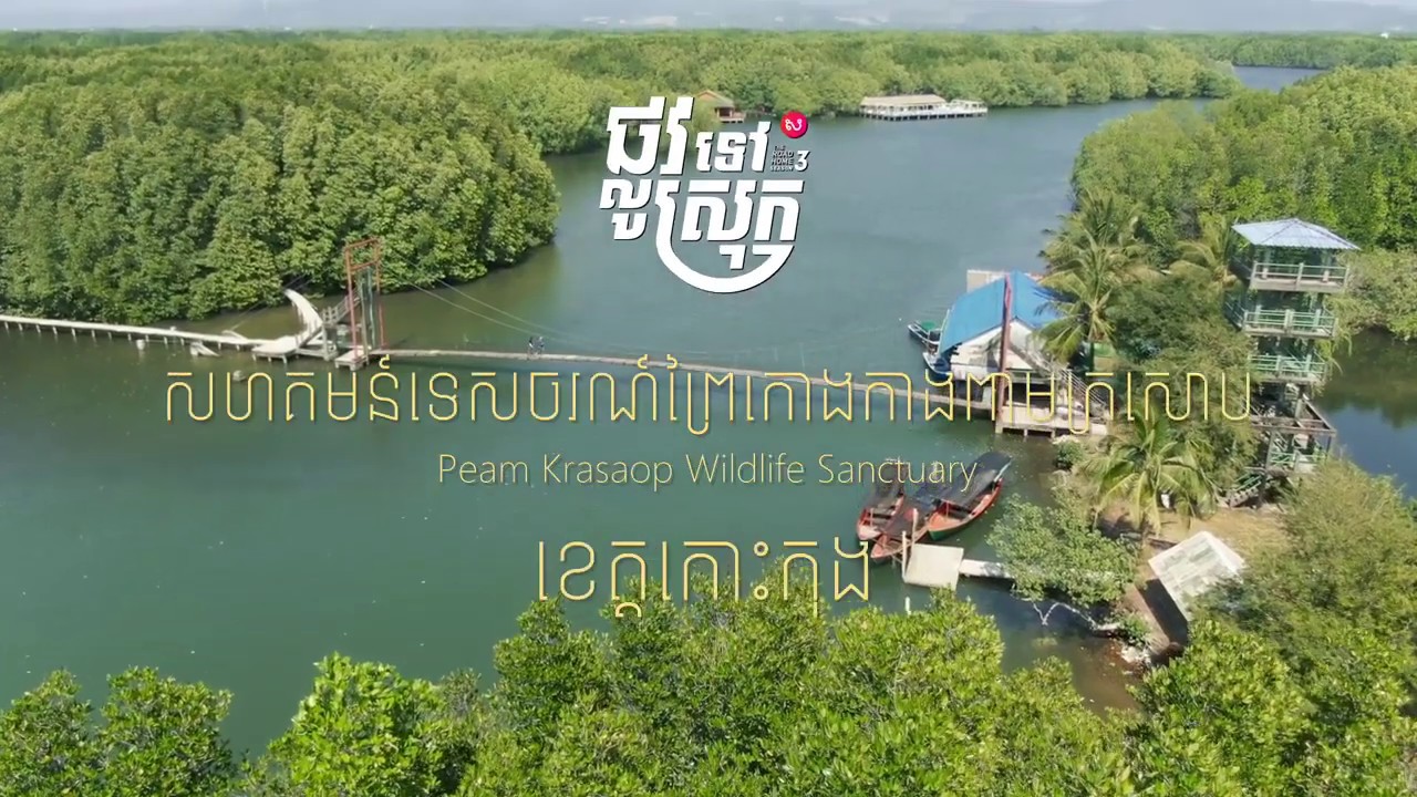 https://mdw-travel-data-us-east-1.s3.amazonaws.com/img/country/Cambodia/Peam-Krasop-Wildlife-Sanctuary/img_03.jpg