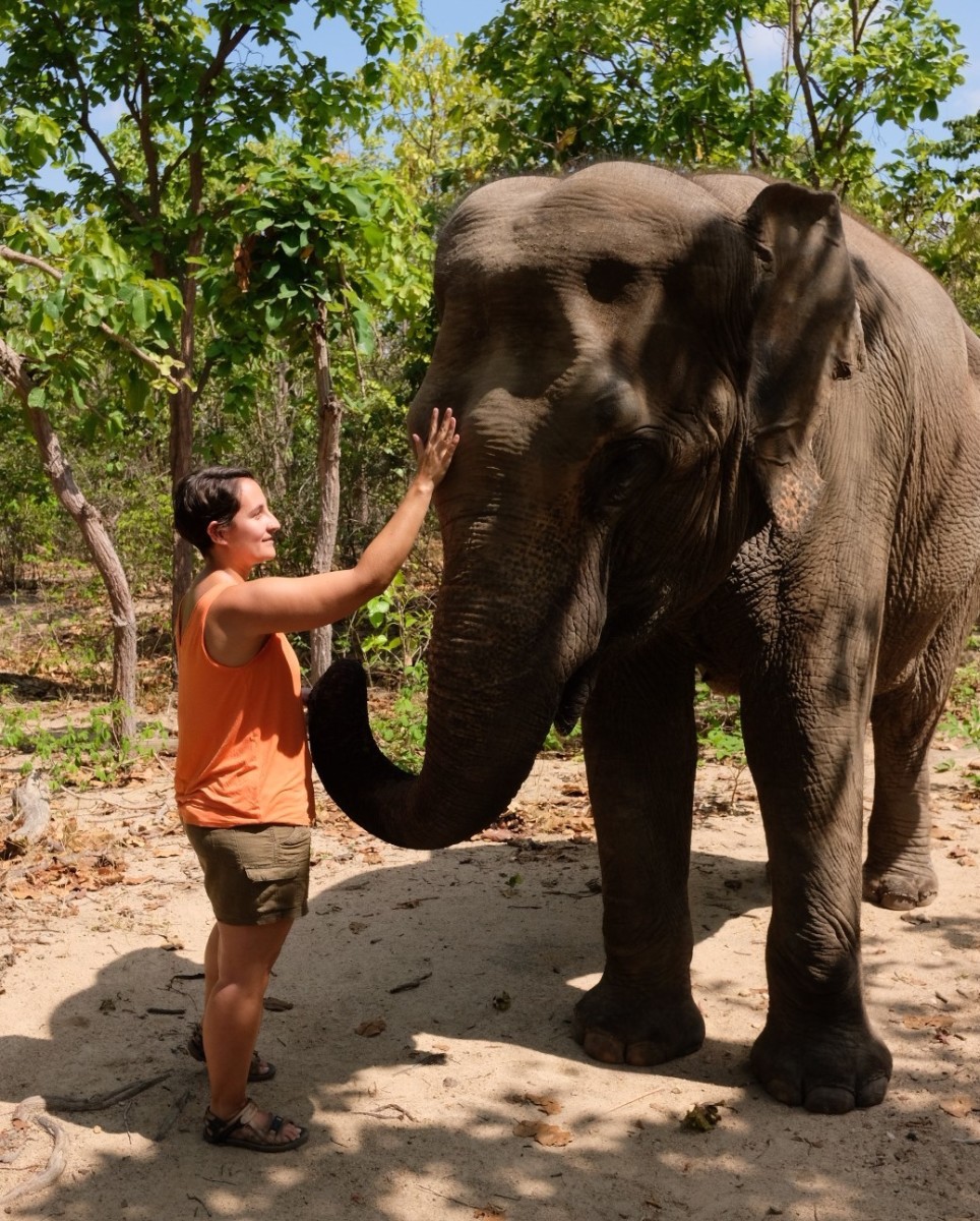 https://mdw-travel-data-us-east-1.s3.amazonaws.com/img/country/Cambodia/Phnom-Tamao-Wildlife-Rescue-Center/img_01.jpg
