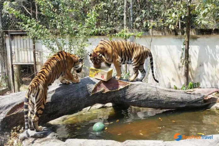 https://mdw-travel-data-us-east-1.s3.amazonaws.com/img/country/Cambodia/Phnom-Tamao-Wildlife-Rescue-Center/img_02.jpg
