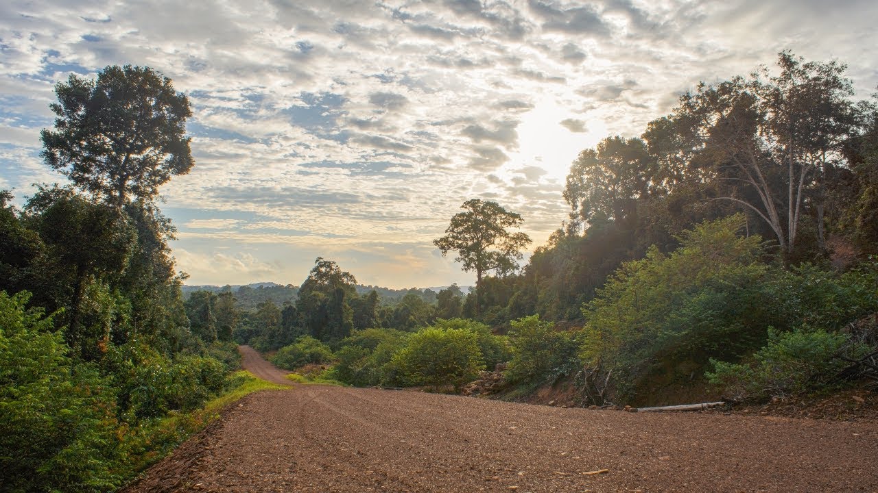 https://mdw-travel-data-us-east-1.s3.amazonaws.com/img/country/Cambodia/Ream-National-Park/img_01.jpg