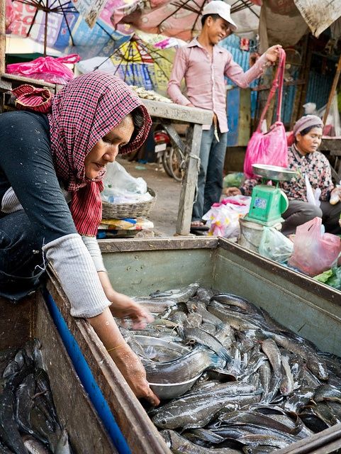 https://mdw-travel-data-us-east-1.s3.amazonaws.com/img/country/Cambodia/Salted-fish-market-in-Kampot/img_02.jpg