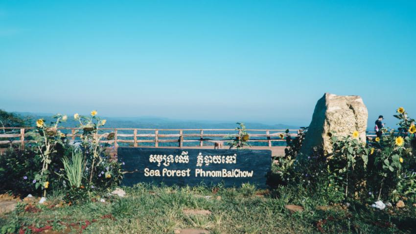 https://mdw-travel-data-us-east-1.s3.amazonaws.com/img/country/Cambodia/Sea-Forest/img_01.jpg