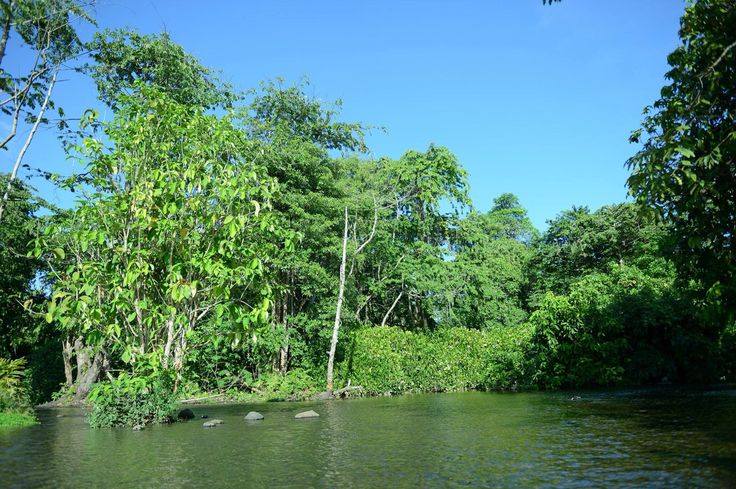 https://mdw-travel-data-us-east-1.s3.amazonaws.com/img/country/Cambodia/Sea-Forest/img_03.jpg