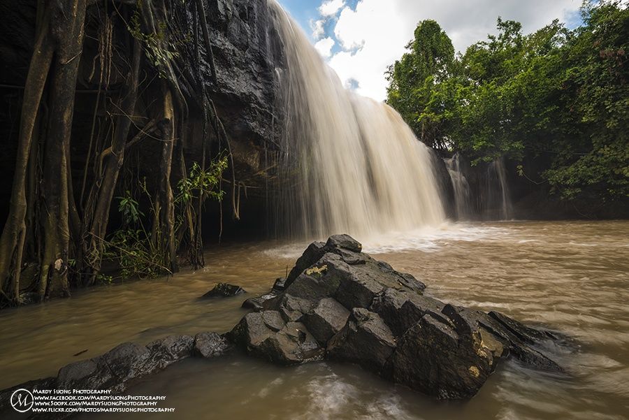 https://mdw-travel-data-us-east-1.s3.amazonaws.com/img/country/Cambodia/Sea-Forest/img_05.jpg