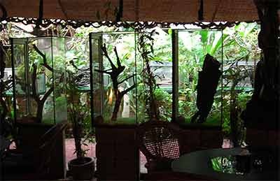 https://mdw-travel-data-us-east-1.s3.amazonaws.com/img/country/Cambodia/Snake-House/img_01.jpg