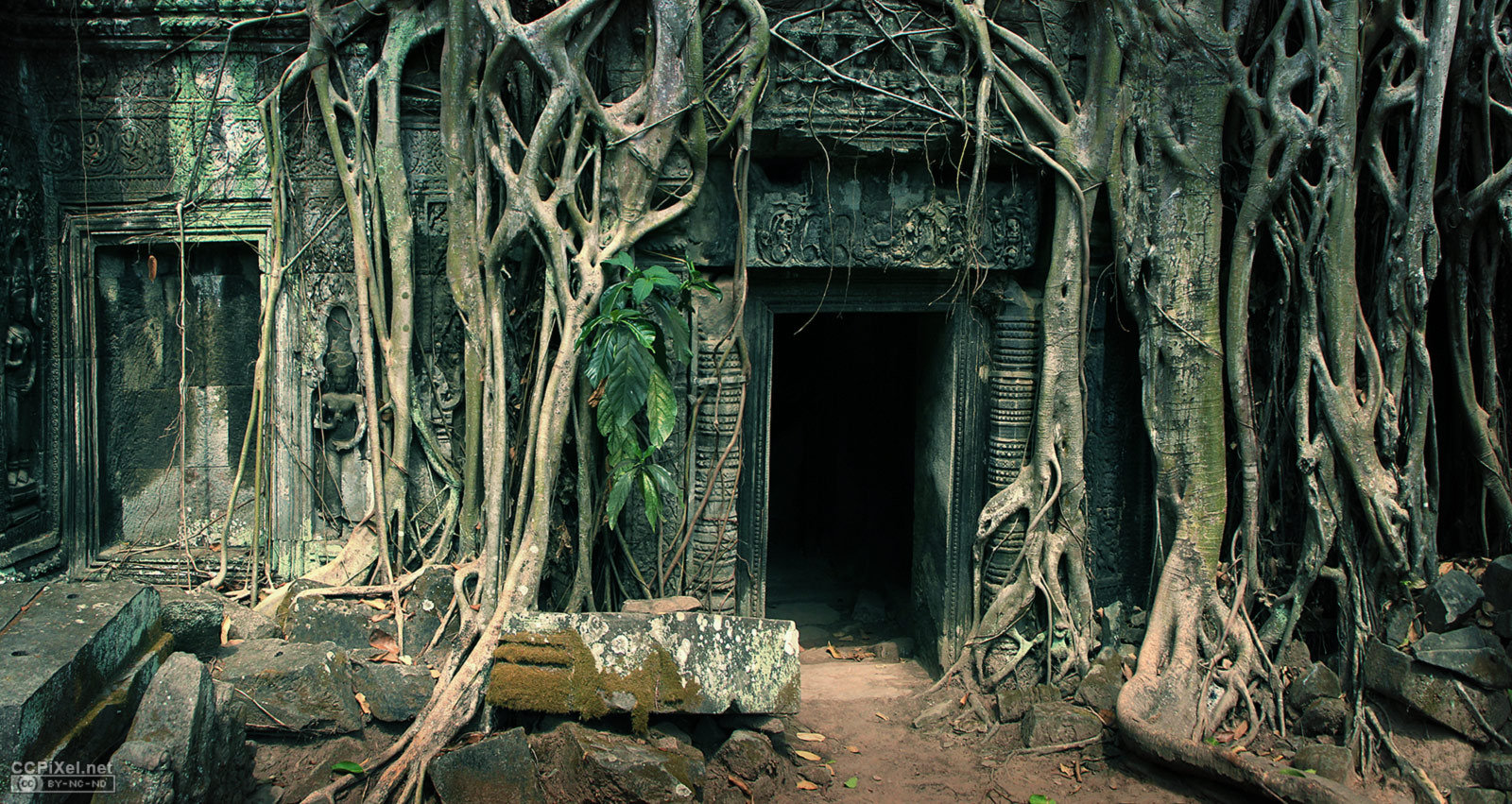 https://mdw-travel-data-us-east-1.s3.amazonaws.com/img/country/Cambodia/Ta-Prohm-Temple/img_01.jpg