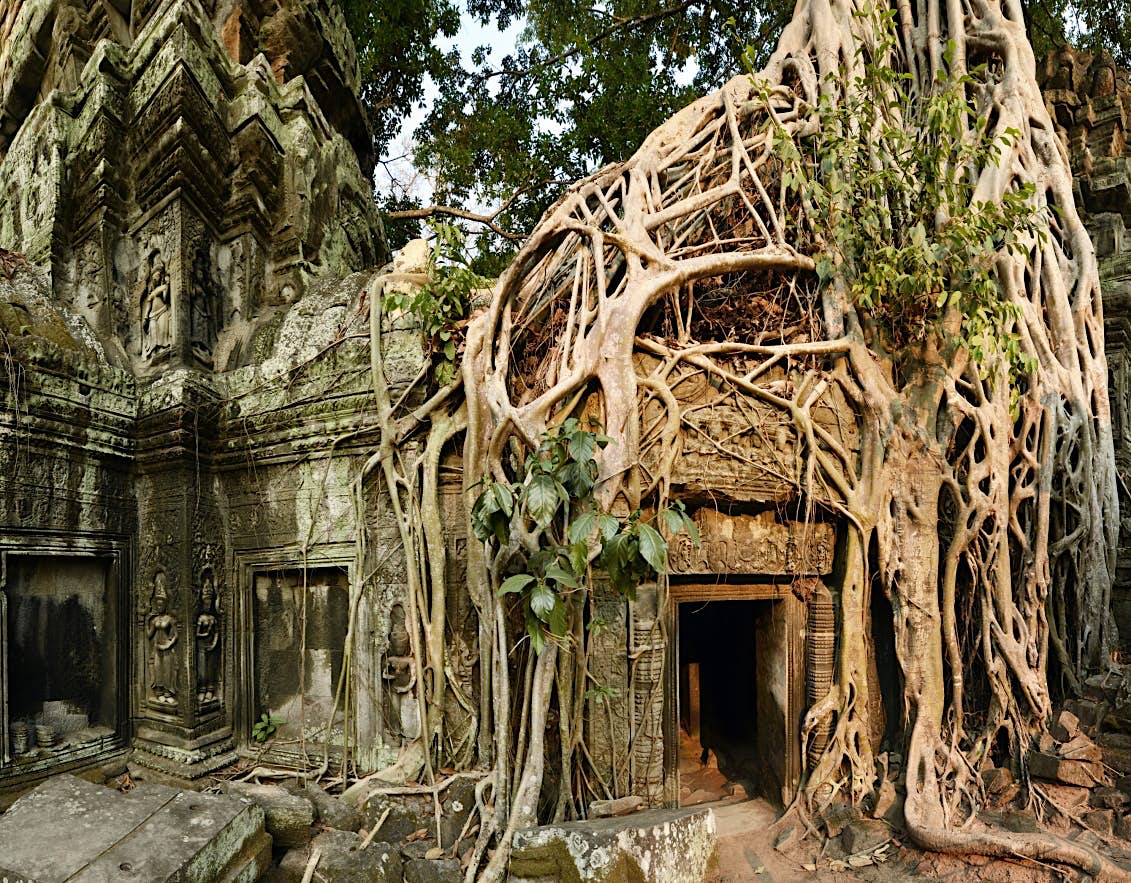https://mdw-travel-data-us-east-1.s3.amazonaws.com/img/country/Cambodia/Ta-Prohm-Temple/img_03.jpg