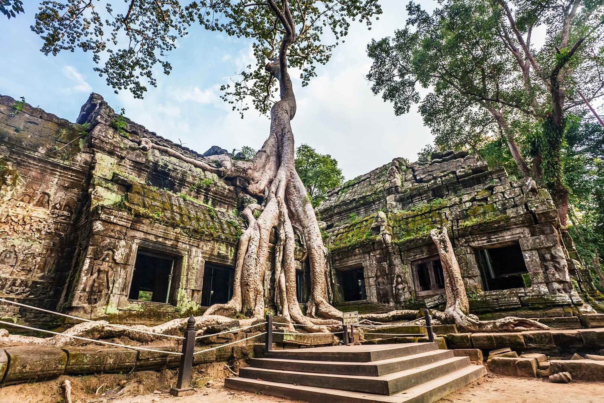 https://mdw-travel-data-us-east-1.s3.amazonaws.com/img/country/Cambodia/Ta-Prohm-Temple/img_04.jpg