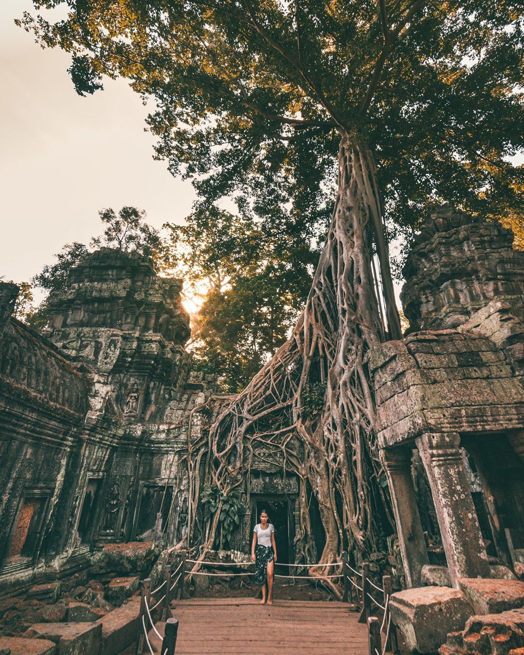 https://mdw-travel-data-us-east-1.s3.amazonaws.com/img/country/Cambodia/Ta-Prohm-Temple/img_05.jpg