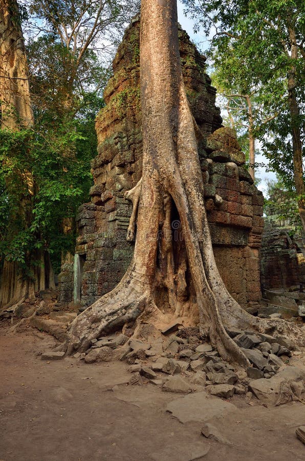 https://mdw-travel-data-us-east-1.s3.amazonaws.com/img/country/Cambodia/Ta-Prohm/img_01.jpg