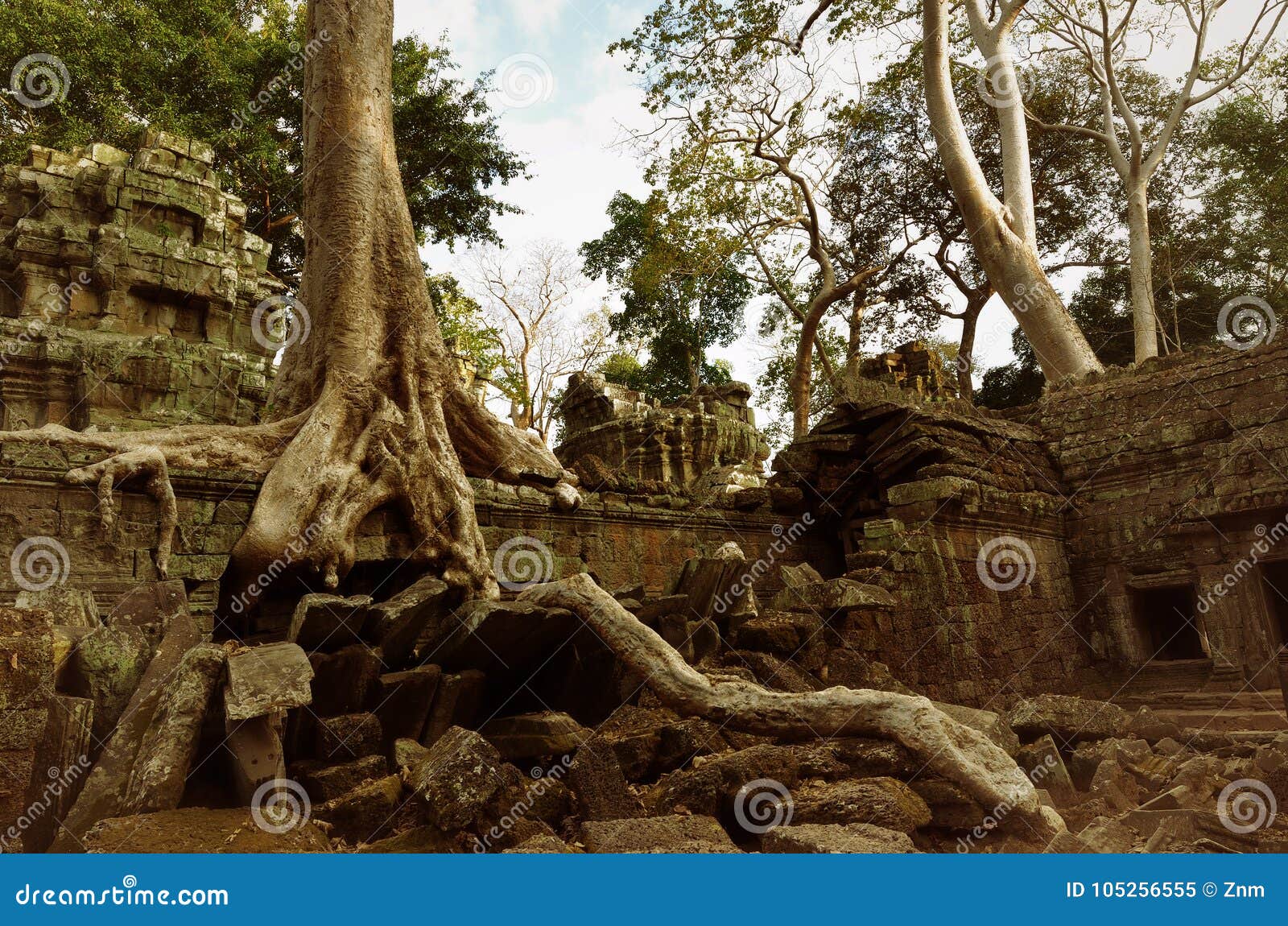 https://mdw-travel-data-us-east-1.s3.amazonaws.com/img/country/Cambodia/Ta-Prohm/img_03.jpg