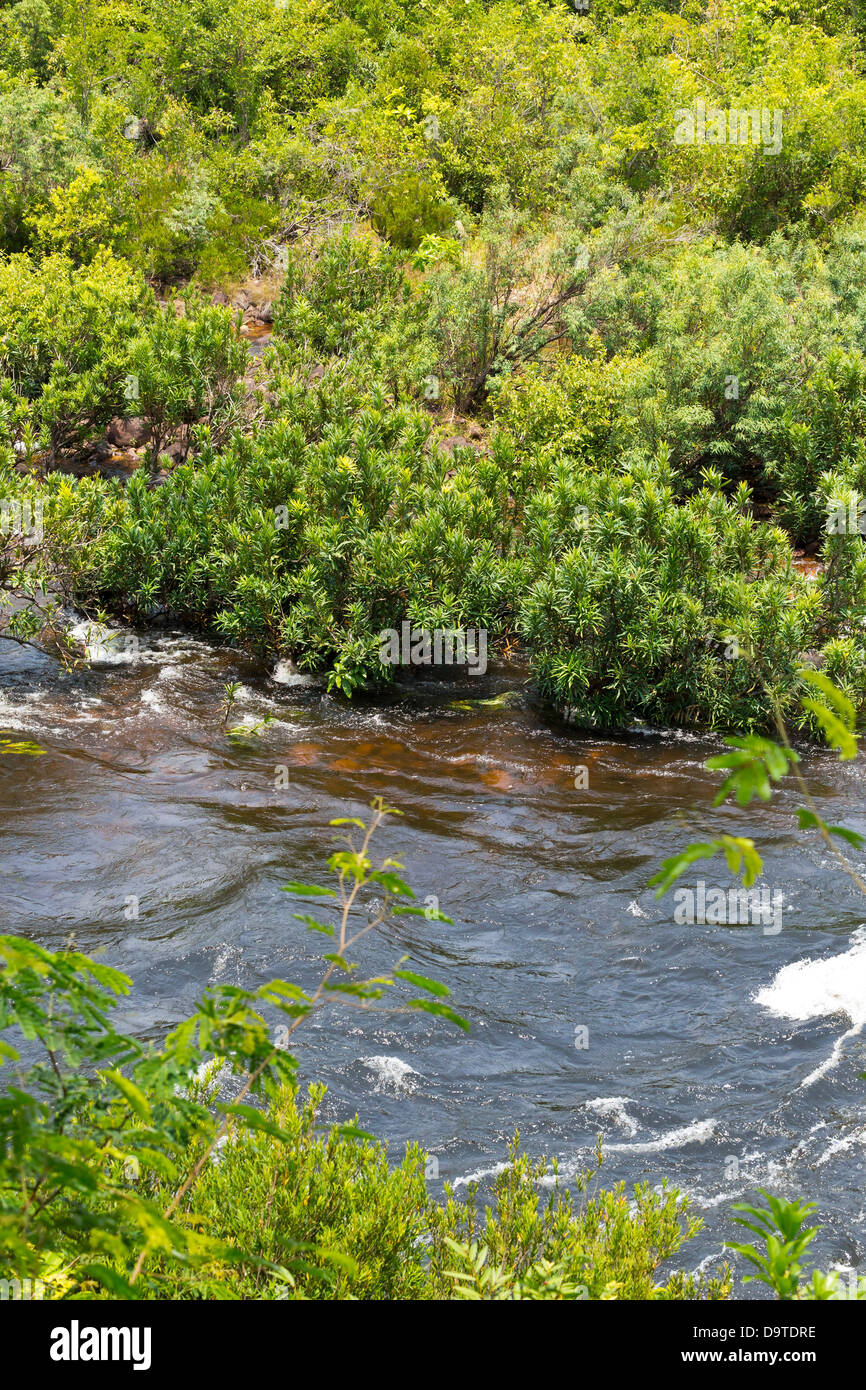 https://mdw-travel-data-us-east-1.s3.amazonaws.com/img/country/Cambodia/Teuk-Chhou-Rapids/img_04.jpg