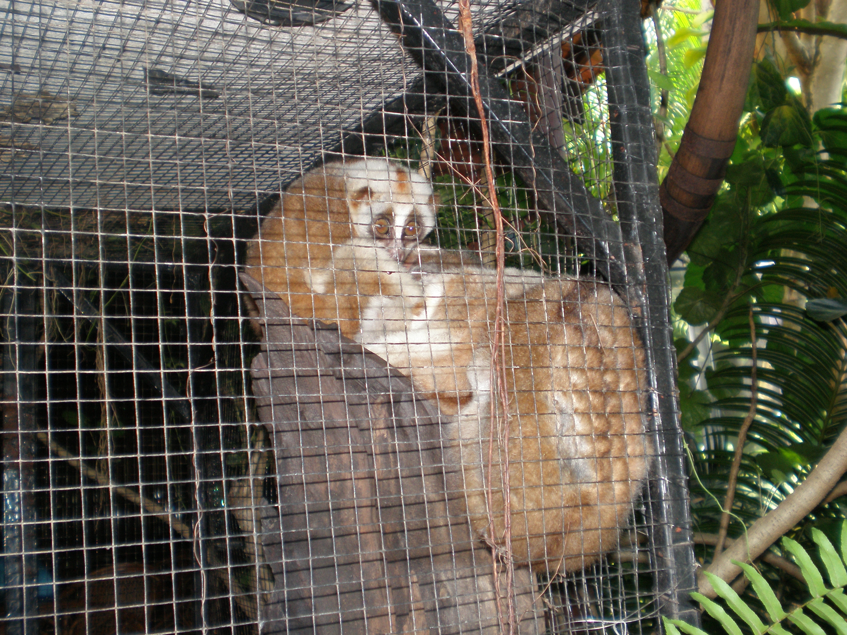 https://mdw-travel-data-us-east-1.s3.amazonaws.com/img/country/Cambodia/The-Snake-House/img_03.jpg