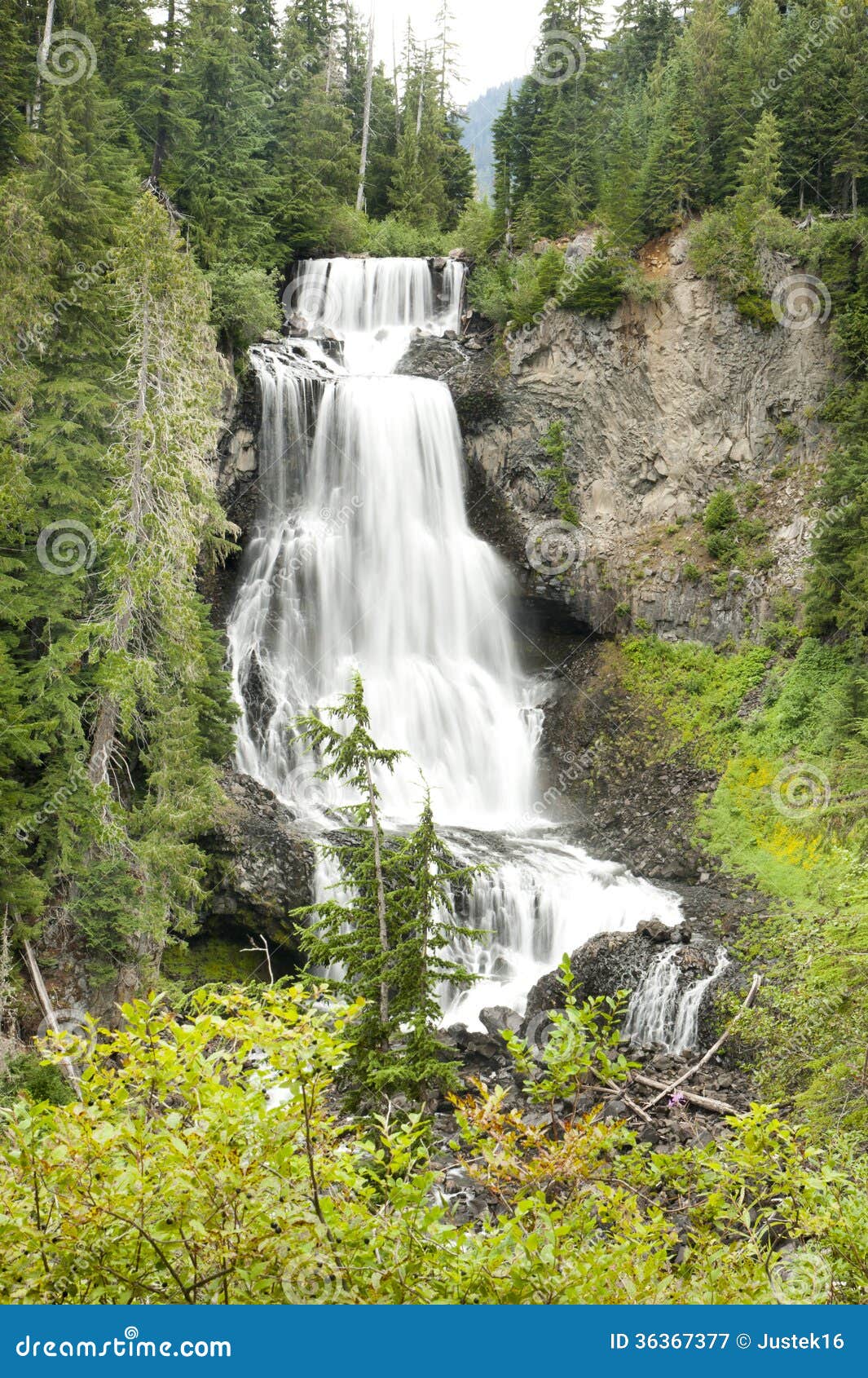 https://mdw-travel-data-us-east-1.s3.amazonaws.com/img/country/Canada/Alexander-Falls/img_01.jpg