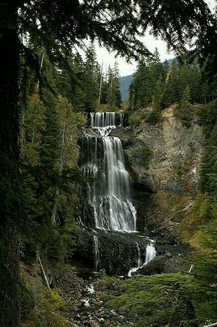 https://mdw-travel-data-us-east-1.s3.amazonaws.com/img/country/Canada/Alexander-Falls/img_02.jpg