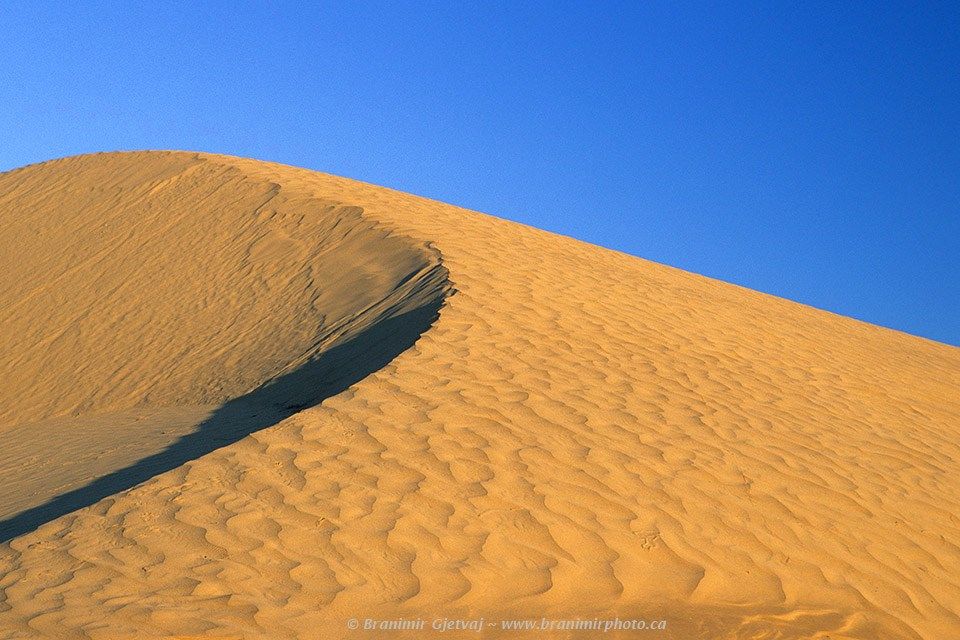 https://mdw-travel-data-us-east-1.s3.amazonaws.com/img/country/Canada/Athabasca-Sand-Dunes-Provincial-Park/img_03.jpg