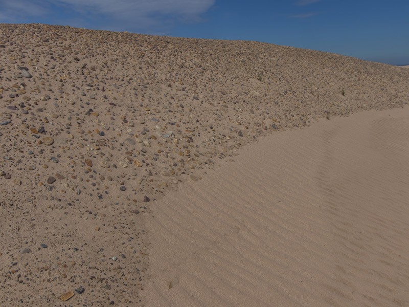 https://mdw-travel-data-us-east-1.s3.amazonaws.com/img/country/Canada/Athabasca-Sand-Dunes-Provincial-Park/img_04.jpg