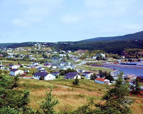 https://mdw-travel-data-us-east-1.s3.amazonaws.com/img/country/Canada/Bay-Bulls/img_03.jpg