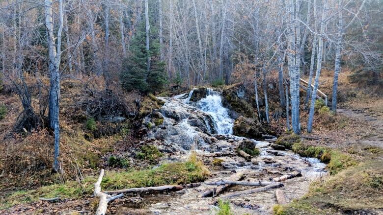 https://mdw-travel-data-us-east-1.s3.amazonaws.com/img/country/Canada/Big-Hill-Springs-Provincial-Park/img_03.jpg