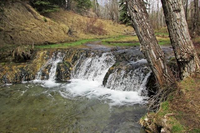 https://mdw-travel-data-us-east-1.s3.amazonaws.com/img/country/Canada/Big-Hill-Springs-Provincial-Park/img_04.jpg