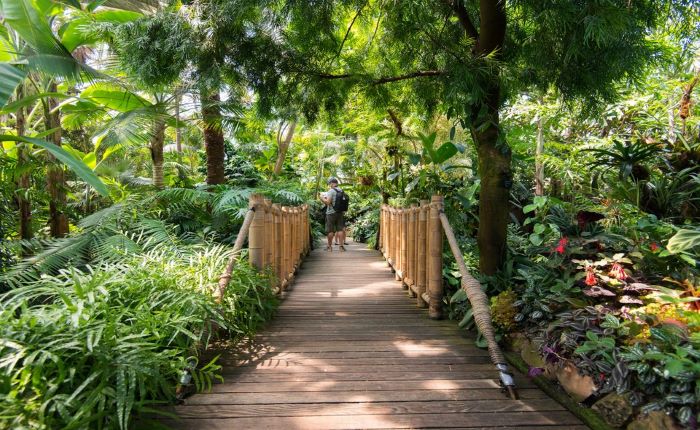 https://mdw-travel-data-us-east-1.s3.amazonaws.com/img/country/Canada/Bloedel-Conservatory/img_02.jpg