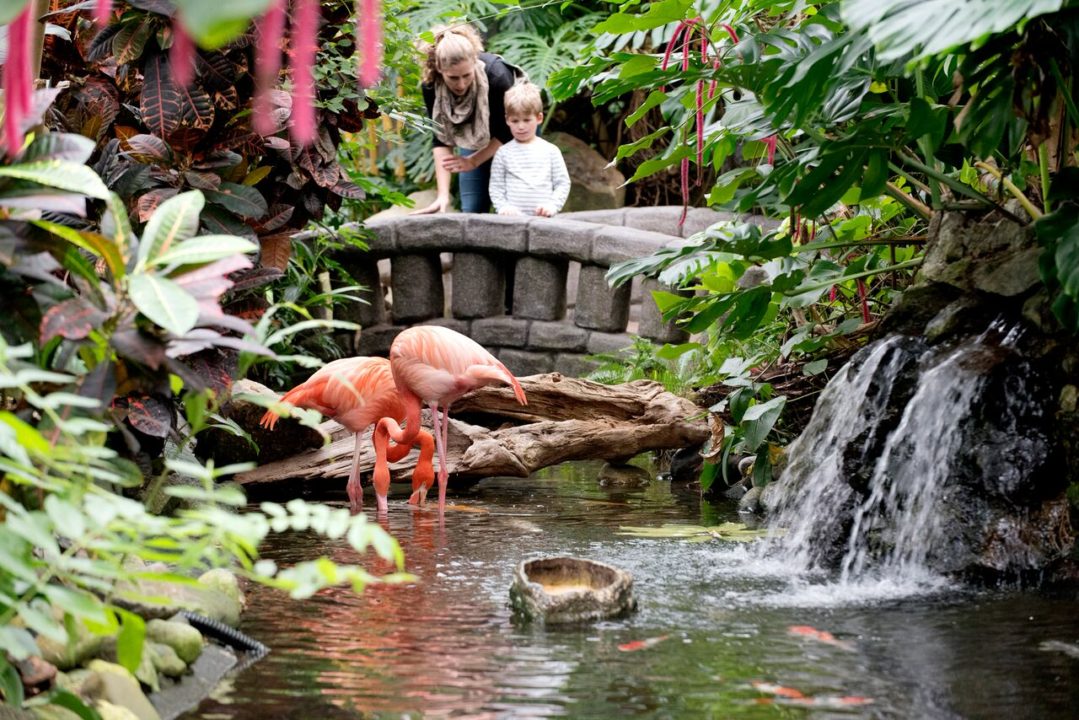 https://mdw-travel-data-us-east-1.s3.amazonaws.com/img/country/Canada/Butterfly-Gardens/img_01.jpg