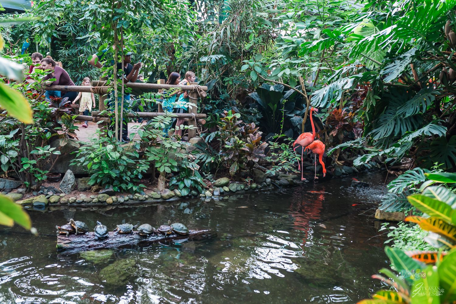 https://mdw-travel-data-us-east-1.s3.amazonaws.com/img/country/Canada/Butterfly-Gardens/img_02.jpg