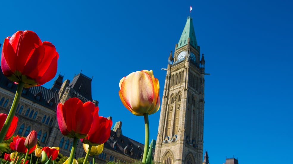 https://mdw-travel-data-us-east-1.s3.amazonaws.com/img/country/Canada/Canadian-Tulip-Festival/img_01.jpg