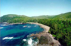 https://mdw-travel-data-us-east-1.s3.amazonaws.com/img/country/Canada/Cape-Scott-Provincial-Park/img_01.jpg