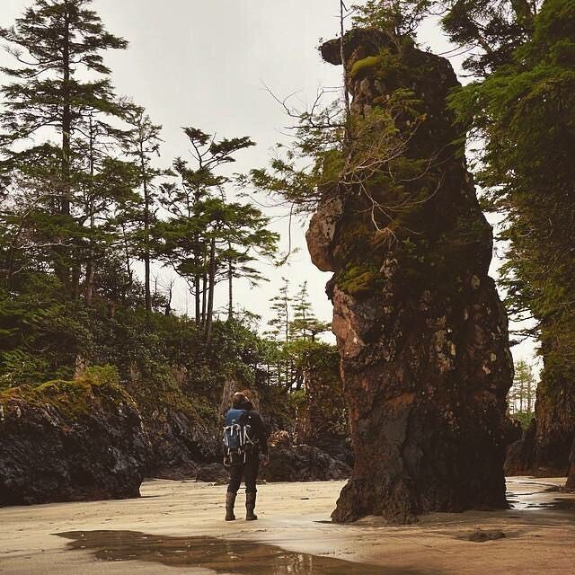 https://mdw-travel-data-us-east-1.s3.amazonaws.com/img/country/Canada/Cape-Scott-Provincial-Park/img_02.jpg