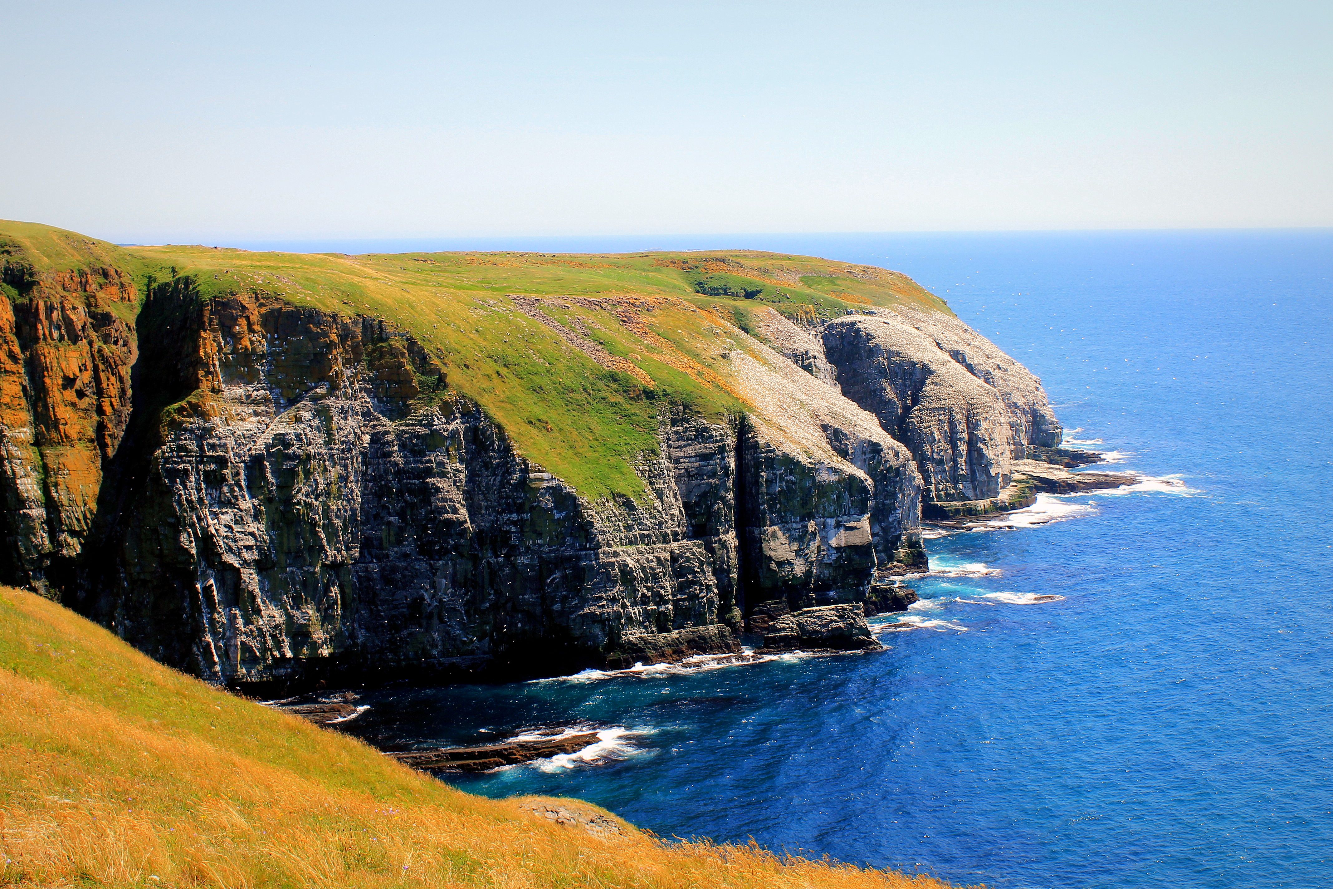 https://mdw-travel-data-us-east-1.s3.amazonaws.com/img/country/Canada/Cape-St-Marys-Ecological-Reserve/img_03.jpg