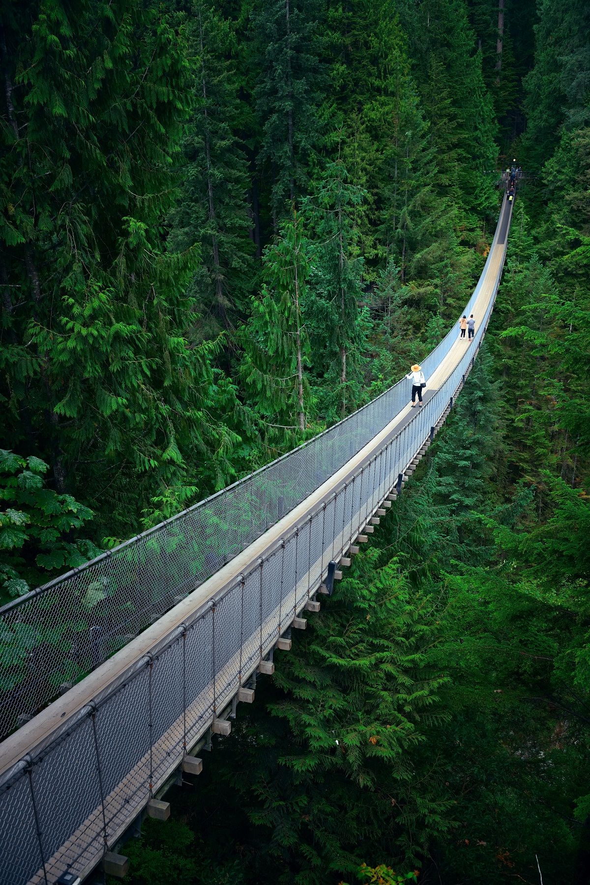 https://mdw-travel-data-us-east-1.s3.amazonaws.com/img/country/Canada/Capilano-Suspension-Bridge-Park/img_03.jpg