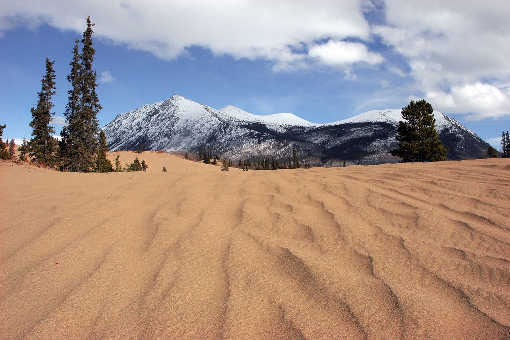 https://mdw-travel-data-us-east-1.s3.amazonaws.com/img/country/Canada/Carcross-Desert/img_00.jpg