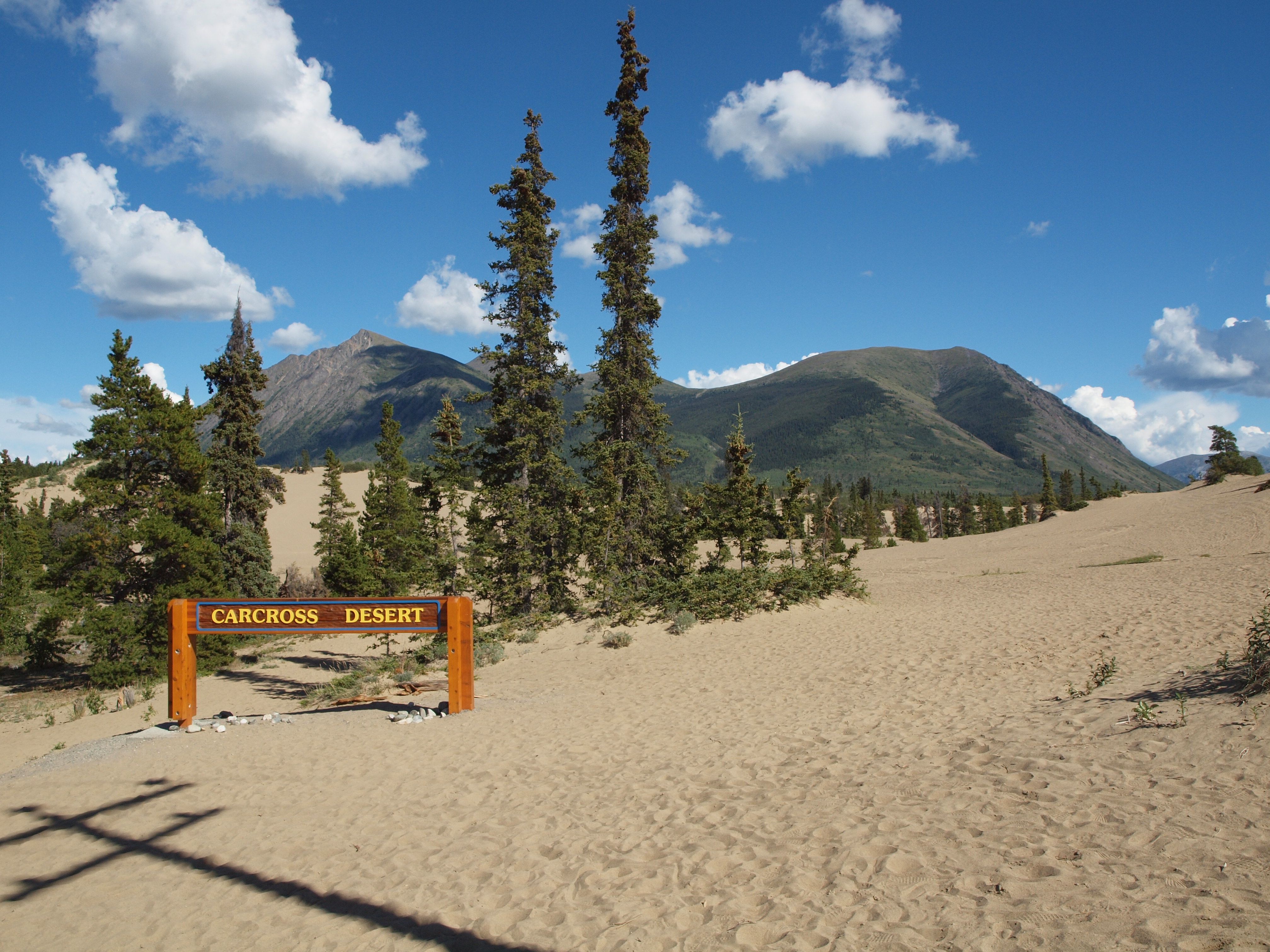 https://mdw-travel-data-us-east-1.s3.amazonaws.com/img/country/Canada/Carcross-Desert/img_03.jpg
