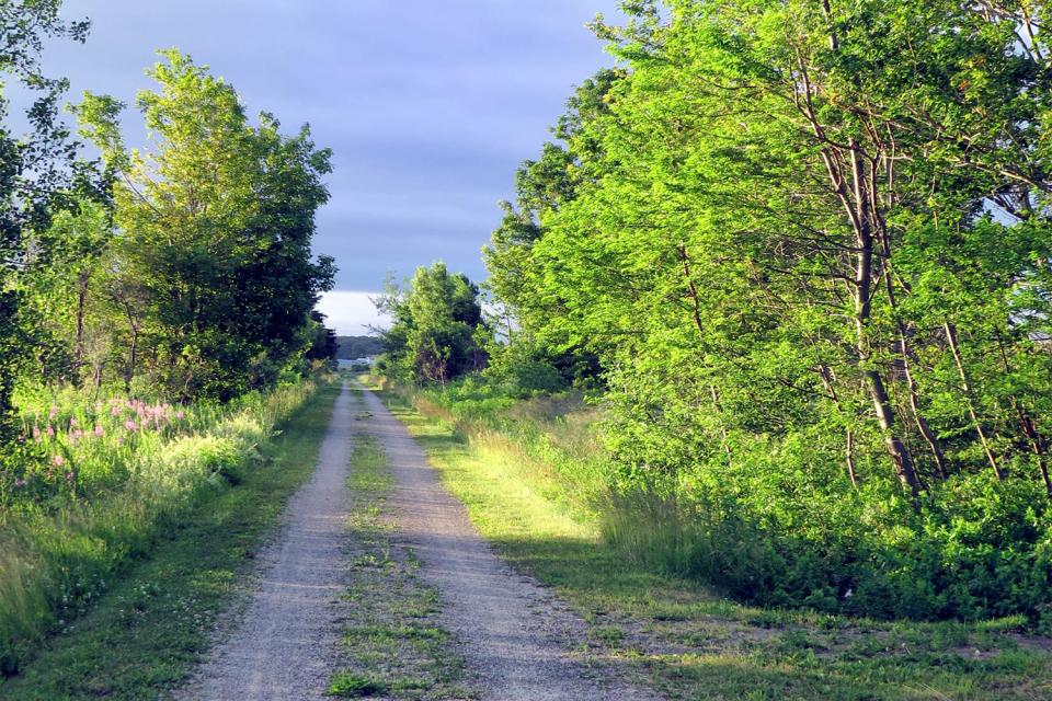 https://mdw-travel-data-us-east-1.s3.amazonaws.com/img/country/Canada/Confederation-Trail/img_03.jpg