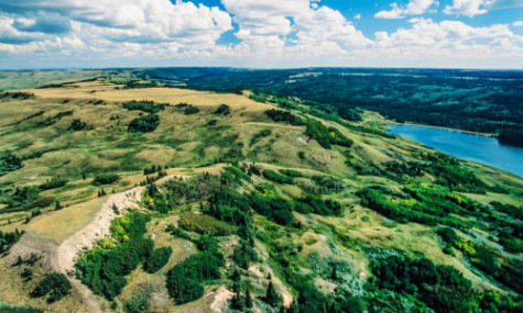 https://mdw-travel-data-us-east-1.s3.amazonaws.com/img/country/Canada/Cypress-Hills-Interprovincial-Park/img_02.jpg