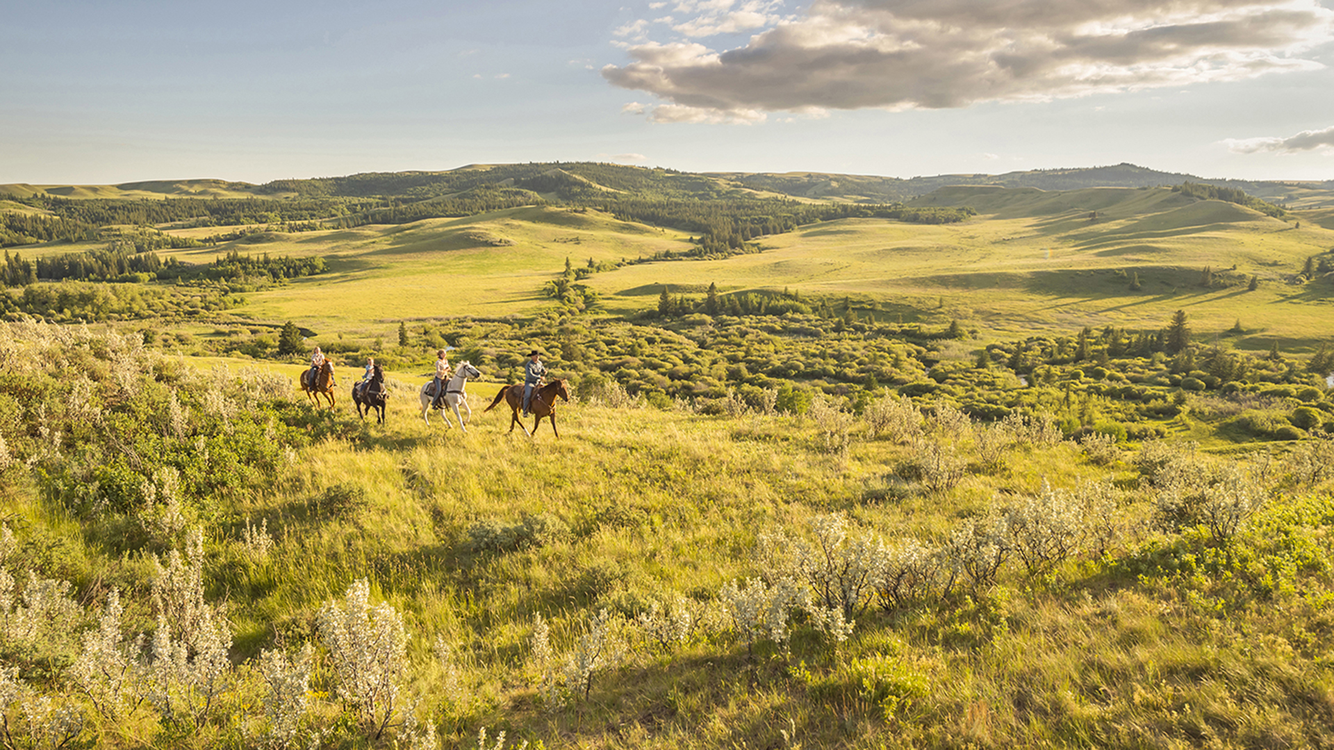 https://mdw-travel-data-us-east-1.s3.amazonaws.com/img/country/Canada/Cypress-Hills-Interprovincial-Park/img_04.jpg