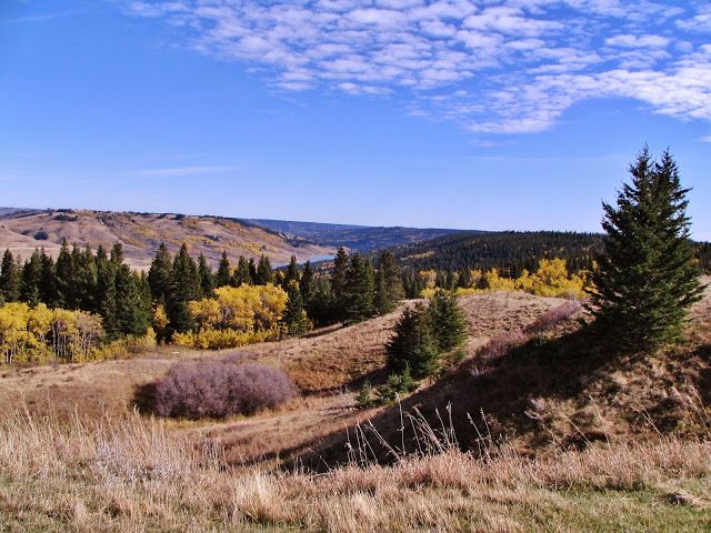 https://mdw-travel-data-us-east-1.s3.amazonaws.com/img/country/Canada/Cypress-Hills-Interprovincial-Park/img_05.jpg