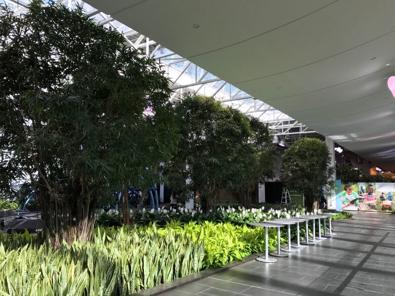https://mdw-travel-data-us-east-1.s3.amazonaws.com/img/country/Canada/Devonian-Gardens/img_03.jpg