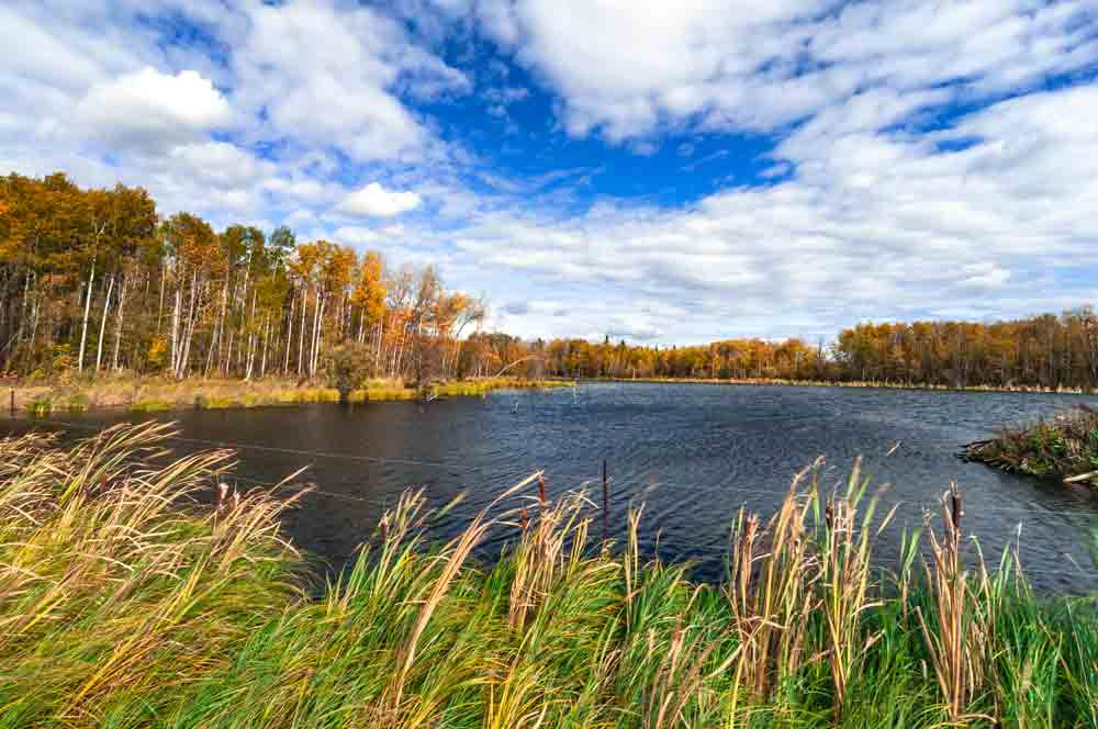 https://mdw-travel-data-us-east-1.s3.amazonaws.com/img/country/Canada/Elk-Island-National-Park/img_05.jpg