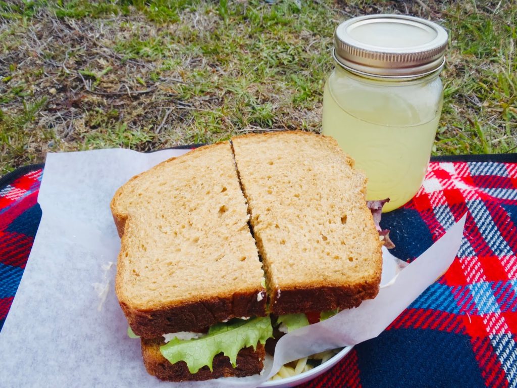 https://mdw-travel-data-us-east-1.s3.amazonaws.com/img/country/Canada/Ferryland-Lighthouse-Picnics/img_04.jpg