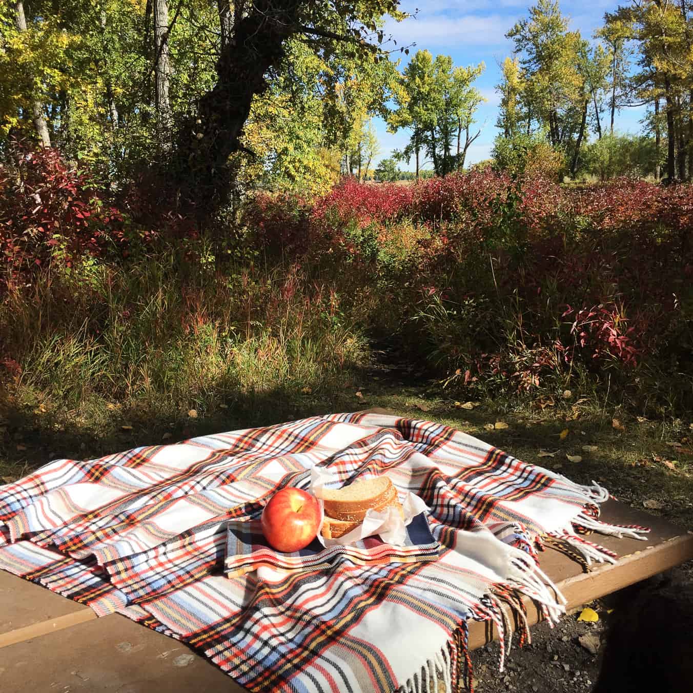 https://mdw-travel-data-us-east-1.s3.amazonaws.com/img/country/Canada/Fish-Creek-Provincial-Park/img_02.jpg