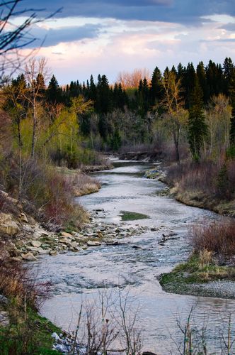 https://mdw-travel-data-us-east-1.s3.amazonaws.com/img/country/Canada/Fish-Creek-Provincial-Park/img_03.jpg